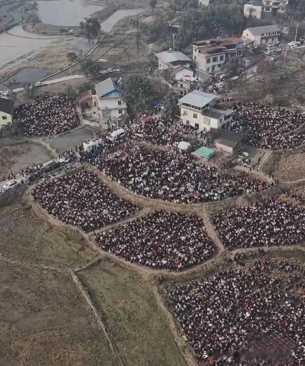 呆呆家的杀猪饭事件居然已经发展到这个地步了！据现场网友透露，今天的宴席直接摆了3