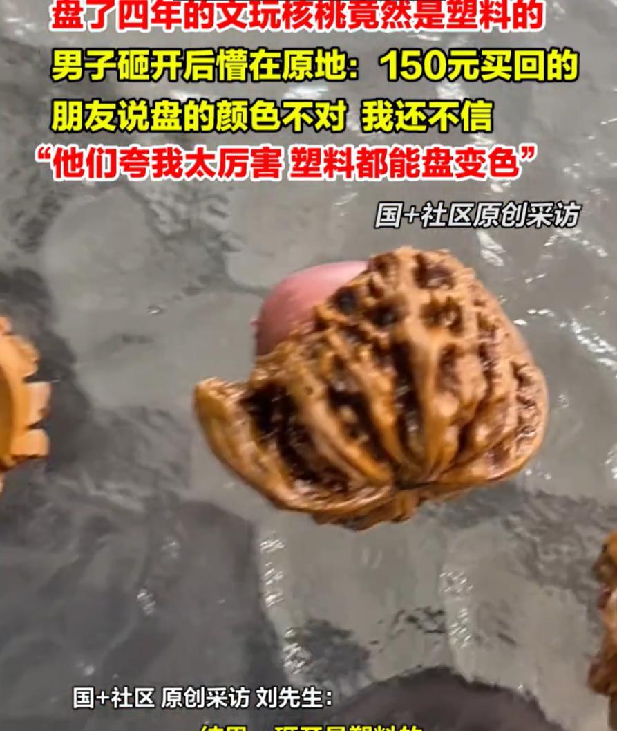 塑料核桃把真价砸到1800，我一点不心疼。去年我花3000买的“狮子头”，回家