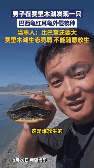 影响太坏了！新疆博乐，一男子在赛里木湖捡到巴掌大巴西龟，他忍不住拍了个视频，向网