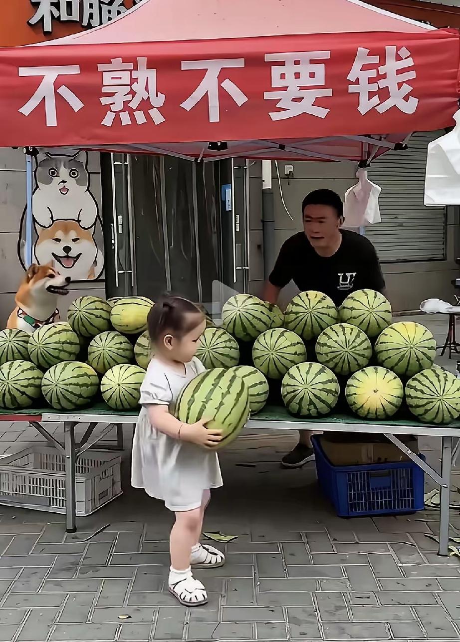西瓜不熟不卖！这原本是西瓜摊主用来促销的标语，谁知道这个五岁的小女孩却理解成了另