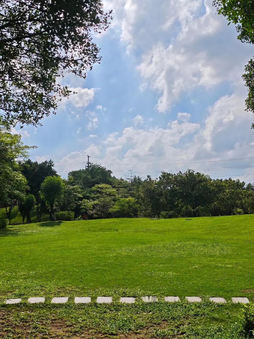躲进儿童公园，治愈所有上班的不开心🌿谁懂啊，这初夏广州的绿意🌿成年人去儿童