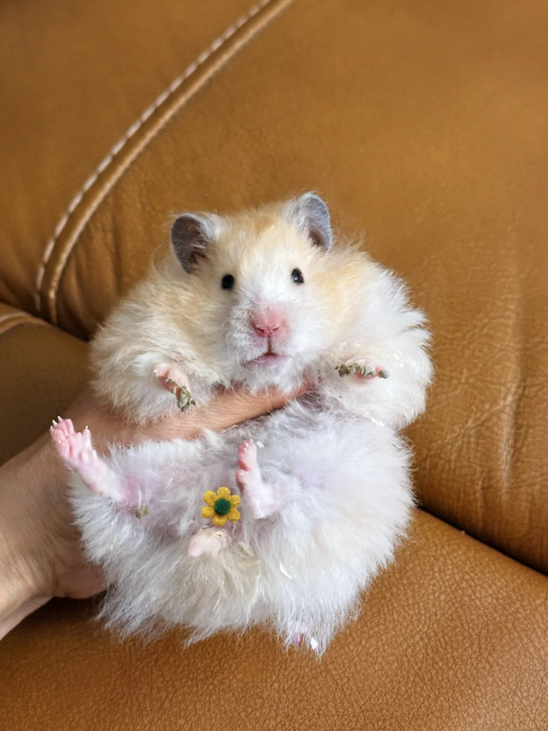 救命啊，这指甲油也涂得太恶心了🤢