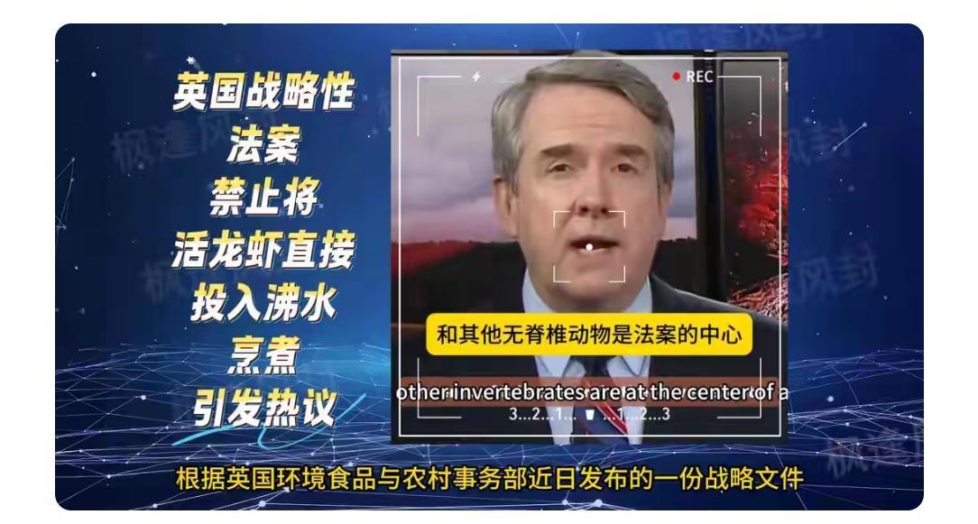 如何看待英国“沸水直接煮活龙虾涉嫌违法”？理由是，这样做会造成龙虾数分钟的极致