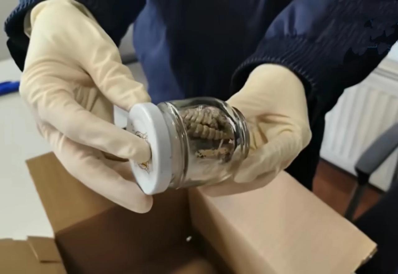 太离谱！山东青岛，一件进境邮件引起海关的注意，里面的东西密度异常，还有明显的分节