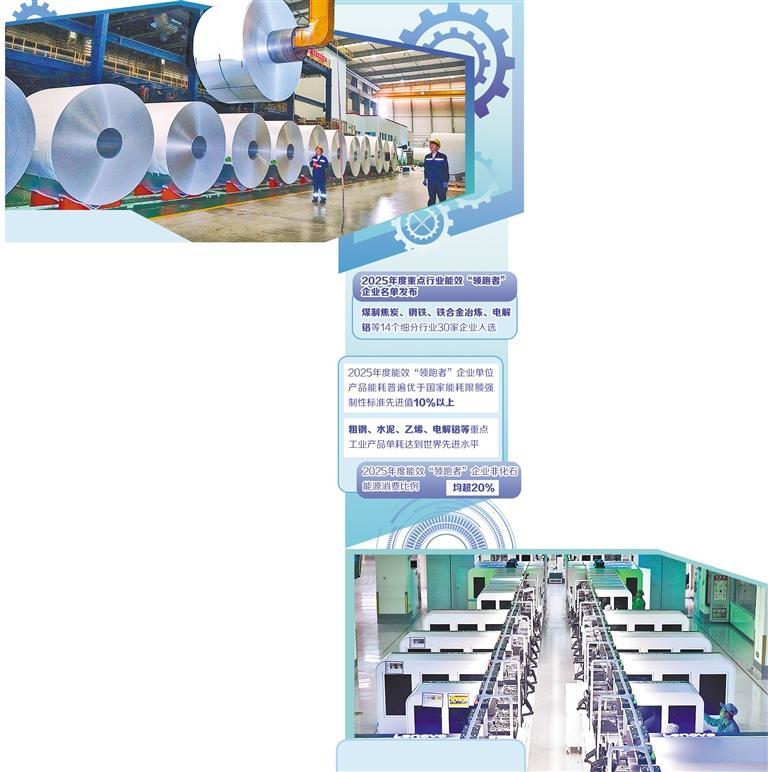 从单点突破迈向协同共进