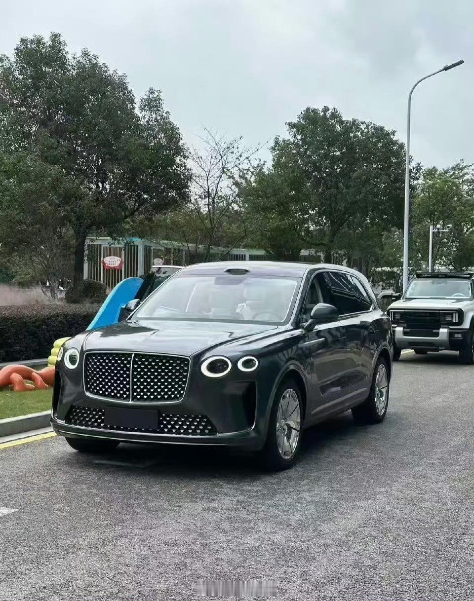 看到今天疯传的一台“新车”，这个质感跟尺寸感觉也不像是老头乐啊。据说是追觅的新车
