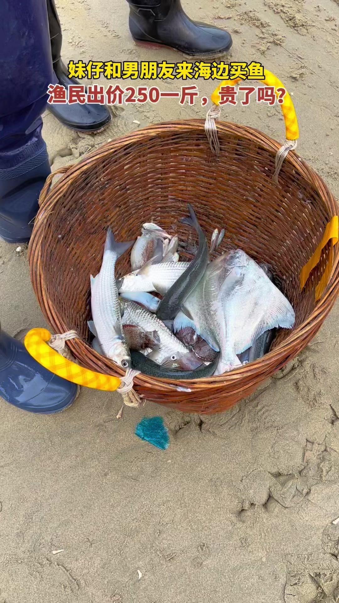 去海边买鱼被标价250元一斤？1️⃣渔贩开价：面对“鱼怎么卖的”询问，渔民直接回