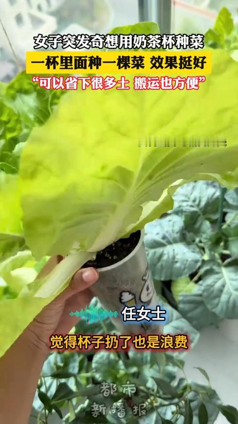 “人怎么能这么聪明！”近日，山东日照，一女子喝完奶茶后，觉得杯子丢了有些可惜，于