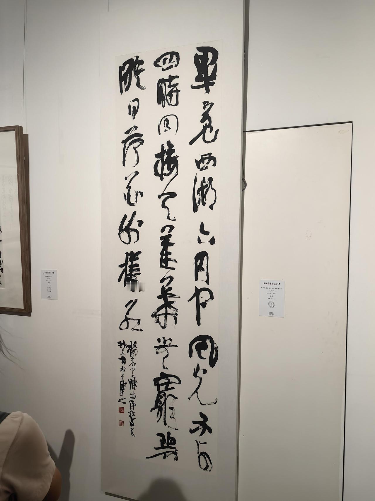 崔寒柏主张以自我为主导书写，契合古人“自成一家始逼真”的终极艺术理想。崔寒柏