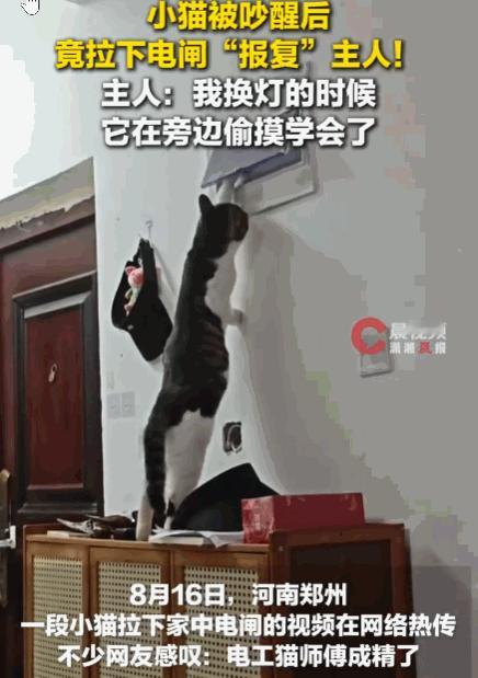真是成精了！河南郑州，一男子正在电脑前畅玩游戏，打得火热。不料声音太大，彻底激怒