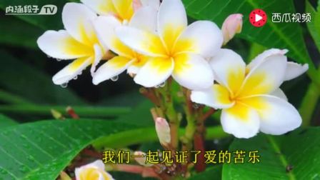 送你一曲醉人的歌, 希望能消除你