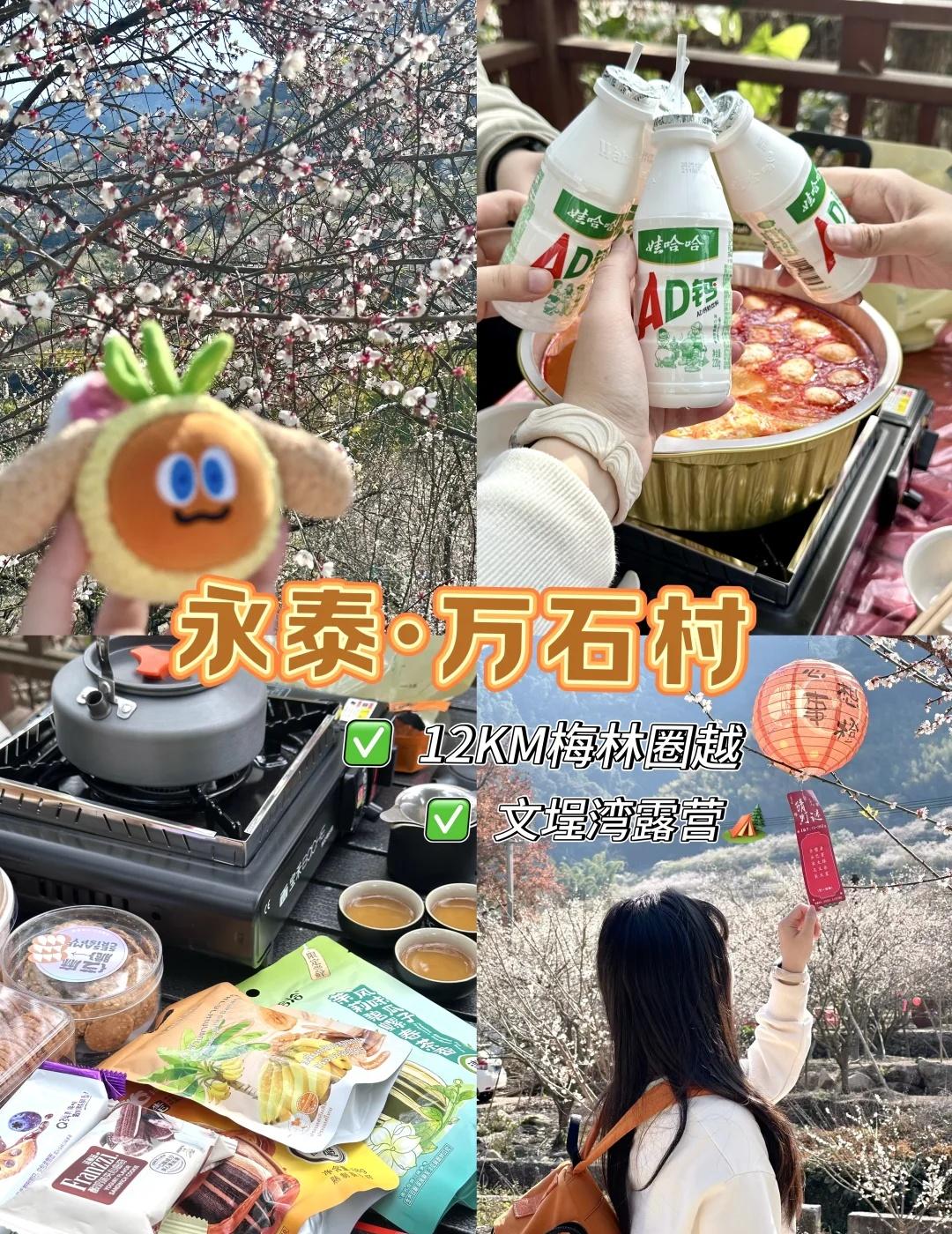 福州周边游|永泰徒步赏梅➕露营路线🏕️漫山遍野的梅花盛开是属于永泰冬天独有