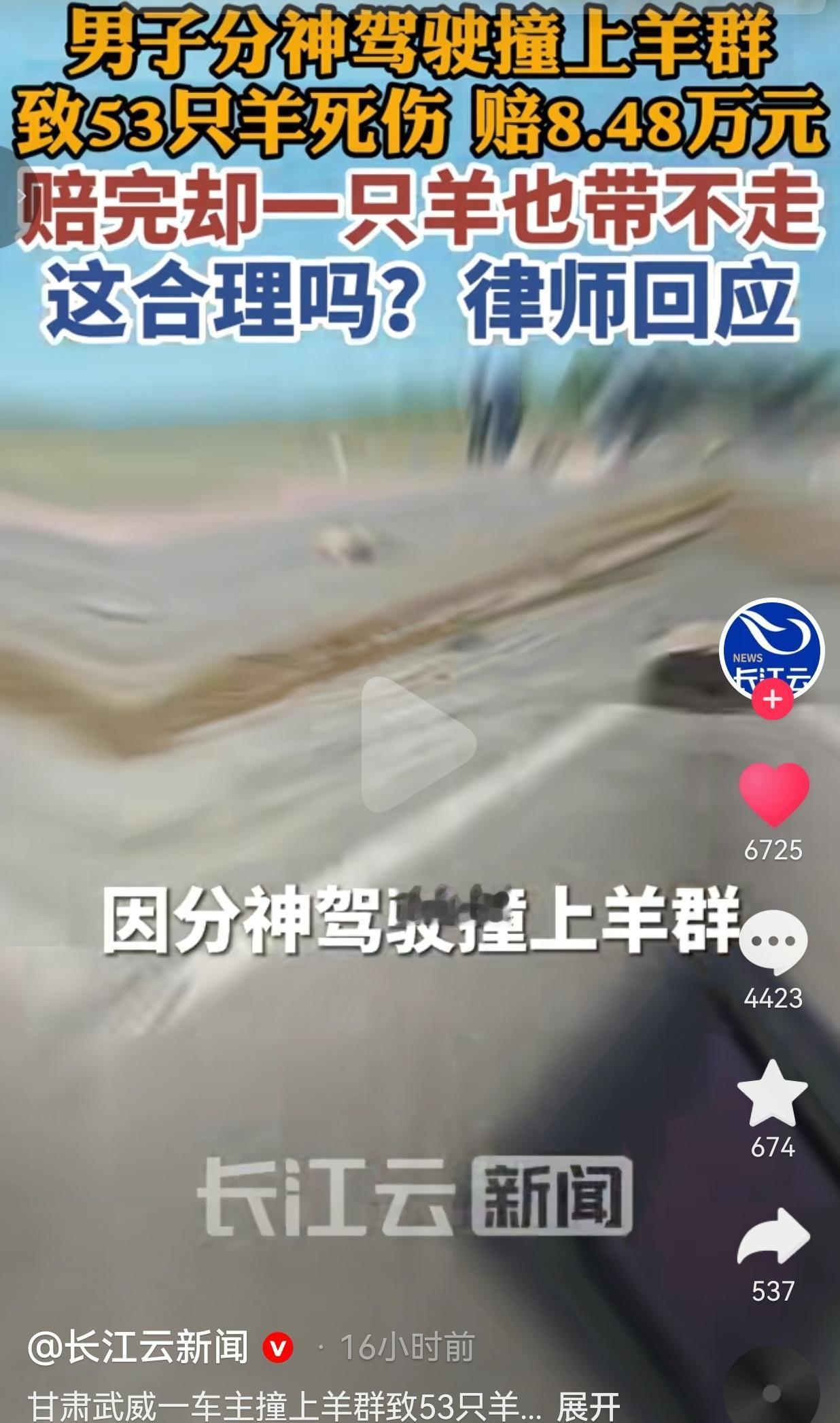 开车分神撞上53只羊，赔了8万多却一只羊都不能带走，很多人想不通一件发生在