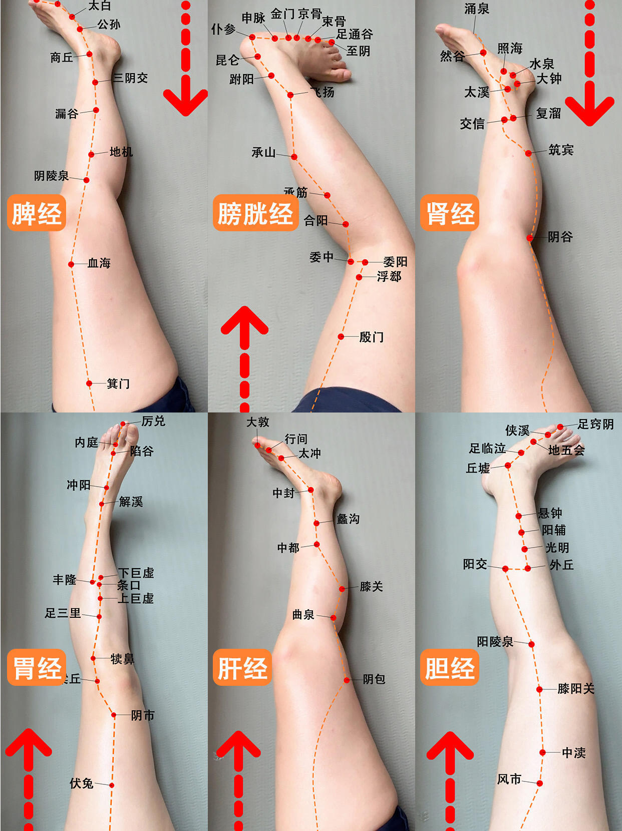 🦵腿上6条经络刮痧全攻略❤️精心整理好懂版✅💯腿部6条经络简单记法1