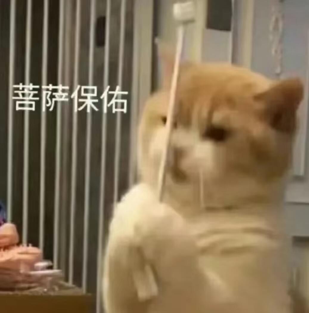 𝙎𝙝𝙖𝙧𝙚⚫️😼今天的表情包存了嘛~猫猫统治世界！[