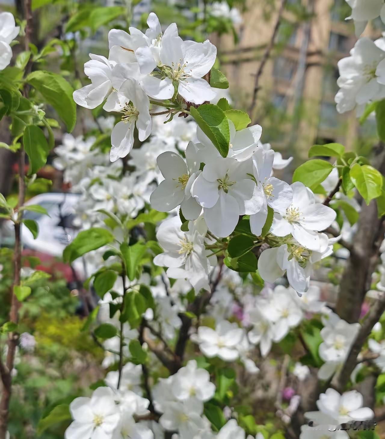 突然想通一件事：很多人压根没意识到，家里一日三餐有人买菜、做饭、收拾，把一家人