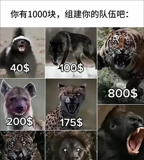 怎么组合，才能做到最优秀？[赞]我就选3和4吧！[呲牙笑]