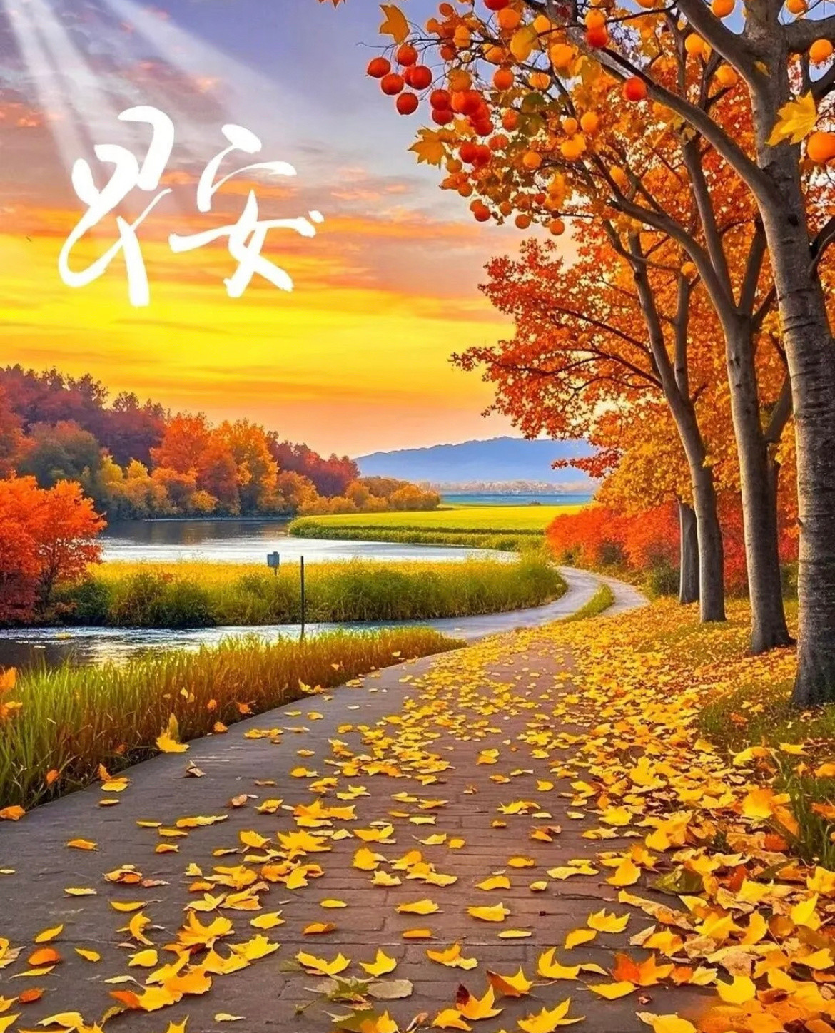 保持积极阳光拼搏进取的心态～幸运和美好就会不期而至!新的一天，遇见所有美好！早安