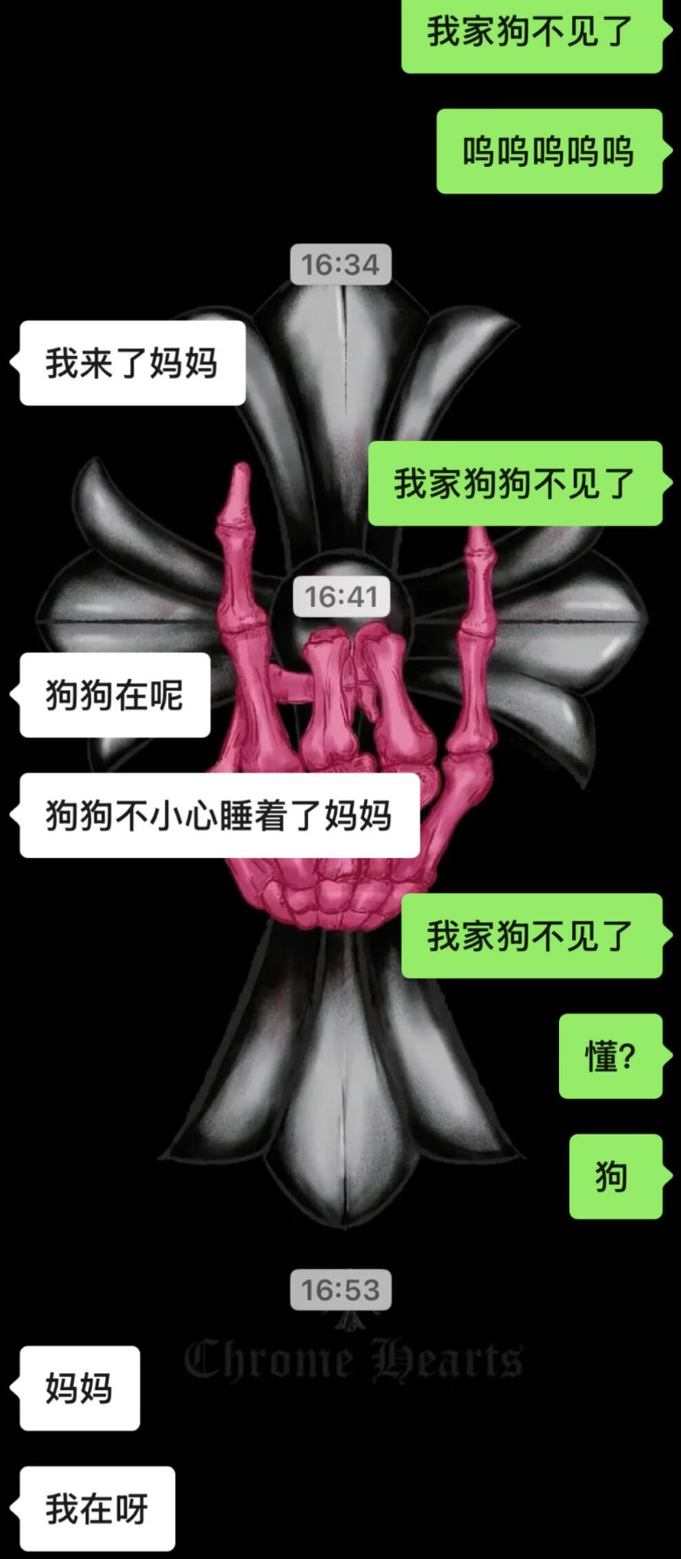 我家狗不见了然后我跟男朋友说然后……！！！