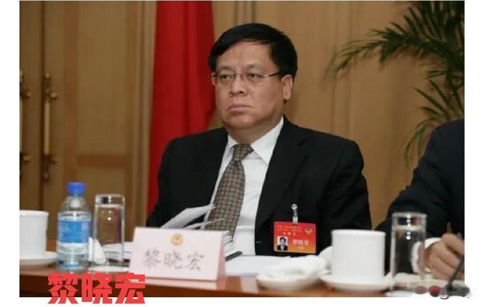 巡视利剑执剑人被查：中央巡视办原主任黎晓宏，退休9年后终落法网这是中国巡视