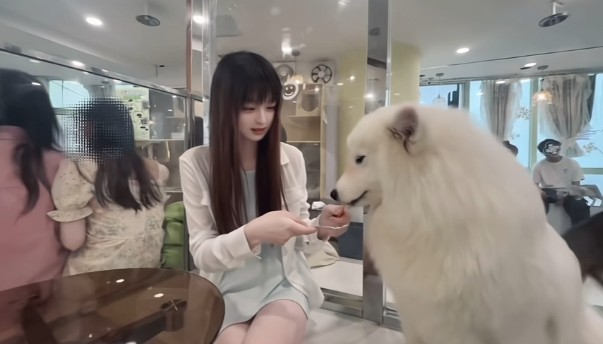 自己一个人来喂喂小狗狗
