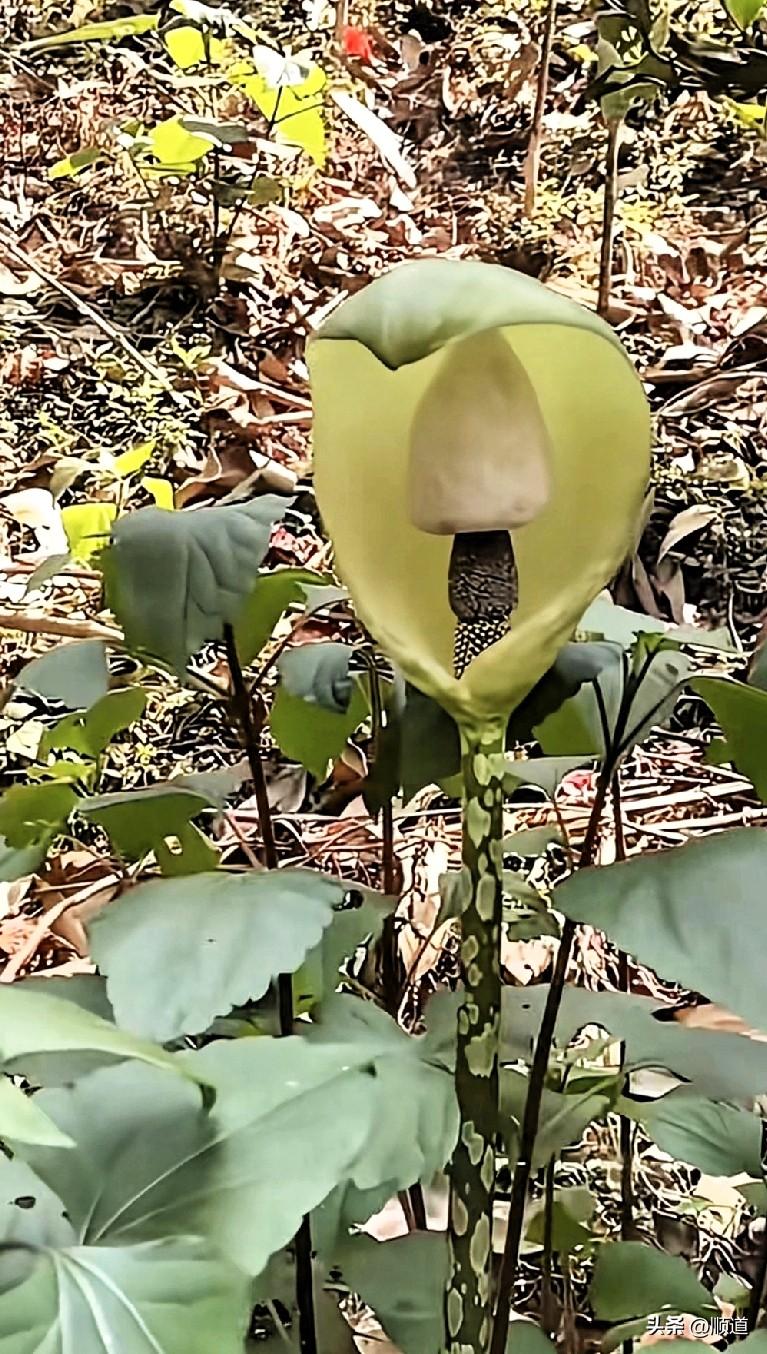 昨晚我同事休息，班上只有我自己。你说这又叫什么定律！我俩上班时，没几个房间，闲的