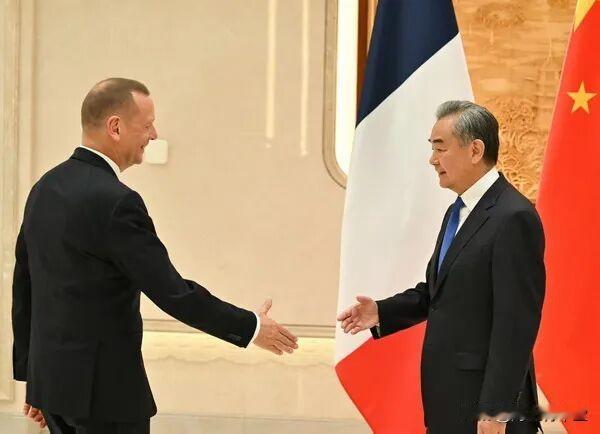 中法：达成共识昨天，王毅在杭州同法国总统外事顾问博纳举行第二十七次中法战略对