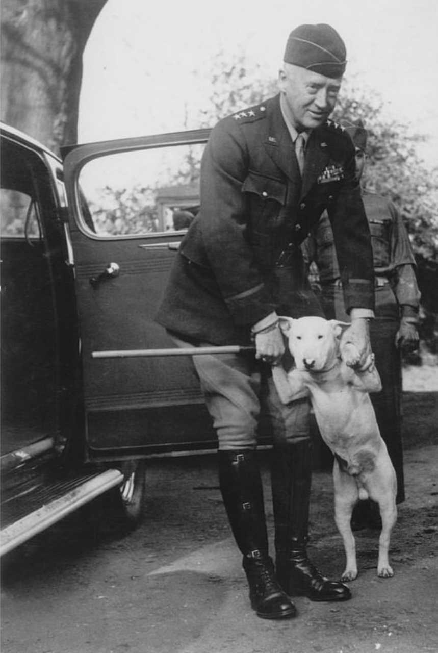 1944年，巴顿将军和他的宠物牛头犬威利历史知识​​​