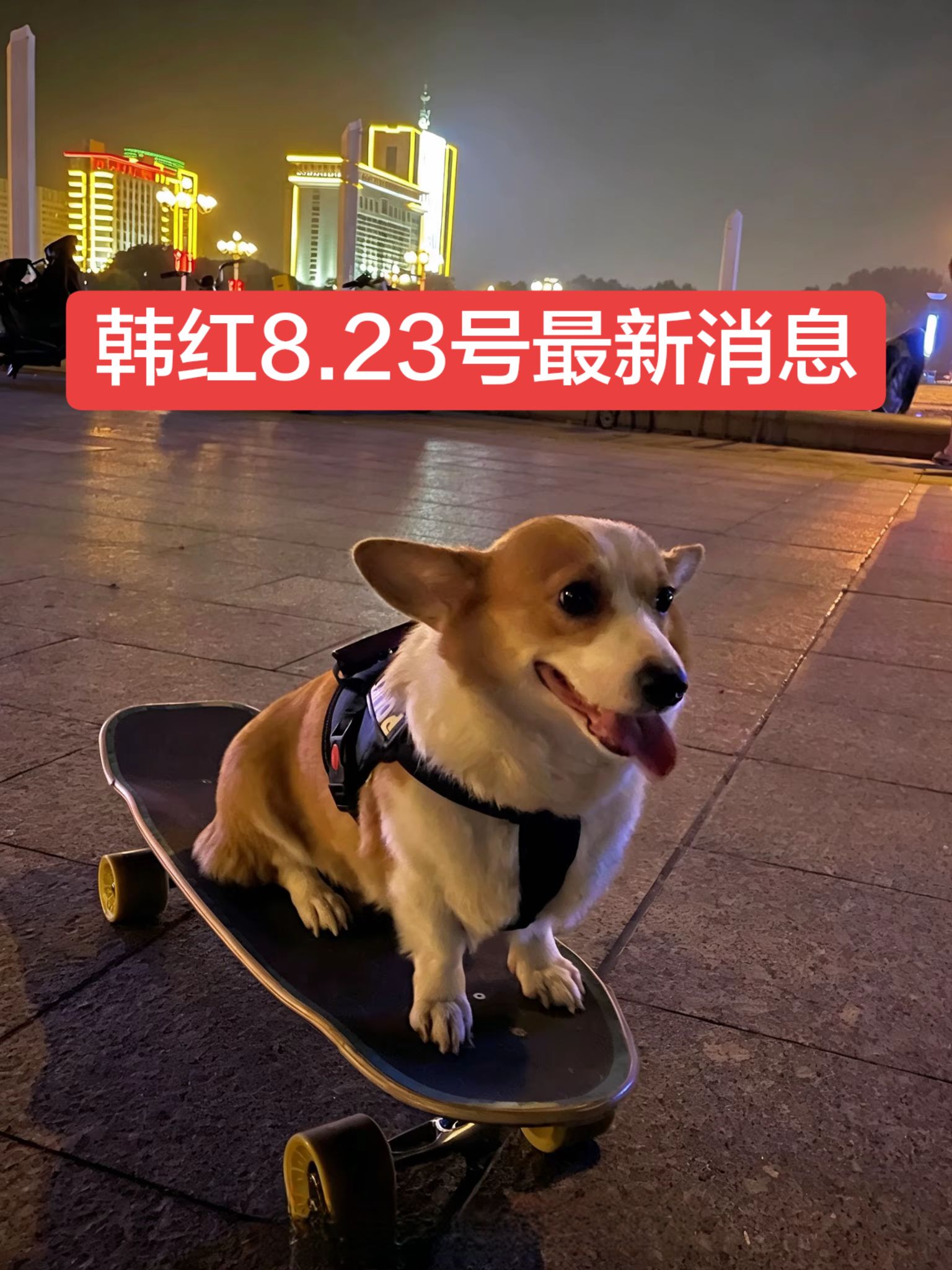 韩红今天最新消息