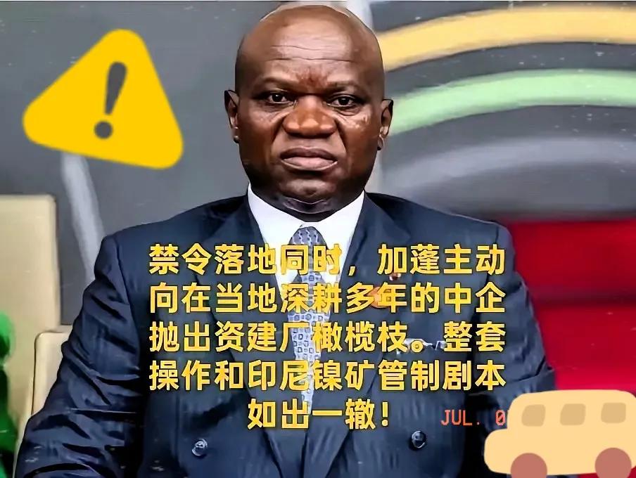 加蓬这回可是把“印尼剧本”背得滚瓜烂熟。刚宣布叫停锰矿原矿出口，紧接着就给咱们在