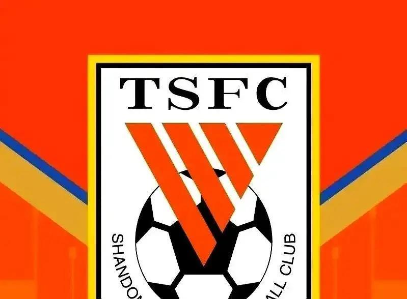 青训卖人一年赚6.8亿泰山不靠砸钱，靠孩子。去年把四个U21卖给武汉三镇，