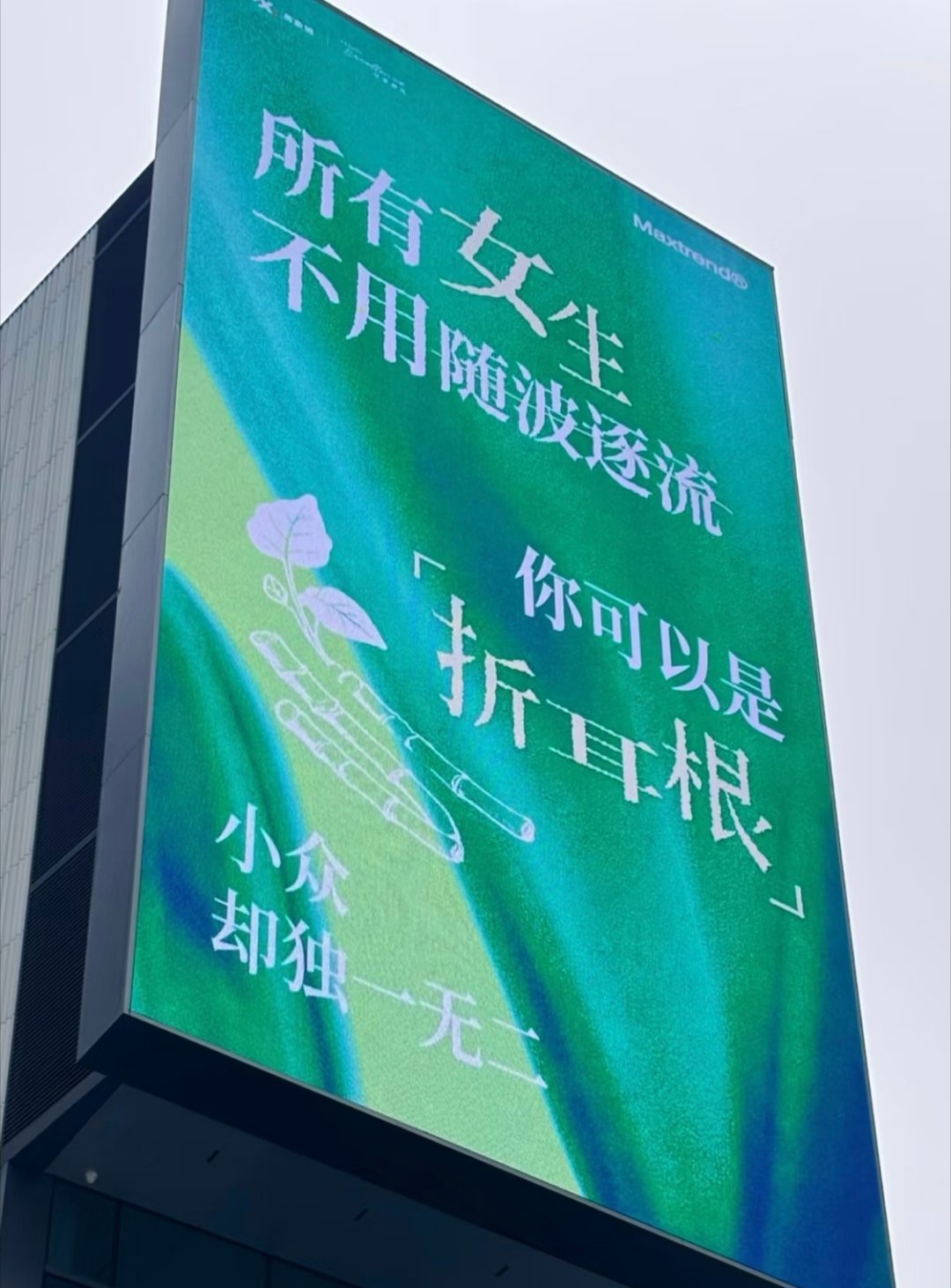 贵阳三八妇女节的文案，看完很想吃“怪噜饭”！