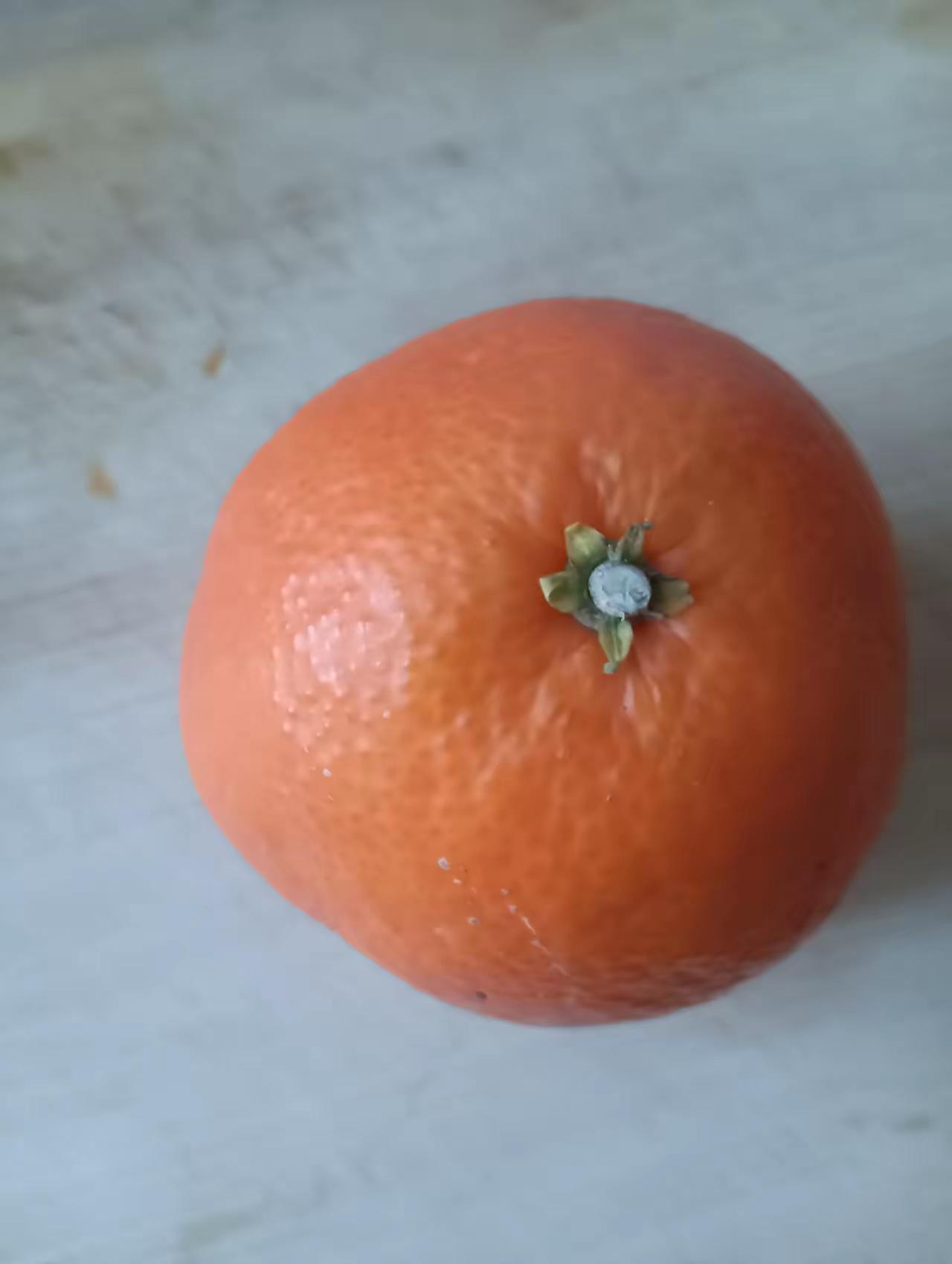 那天我照常出摊，卖我的卤面和小吃。一个常来的女人突然不来了，我想了想，唯一的变化