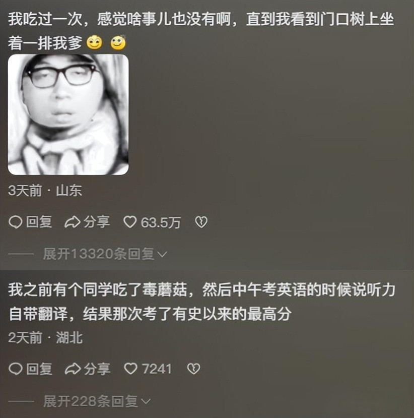 胡乱吃菌子会有怎样的后果