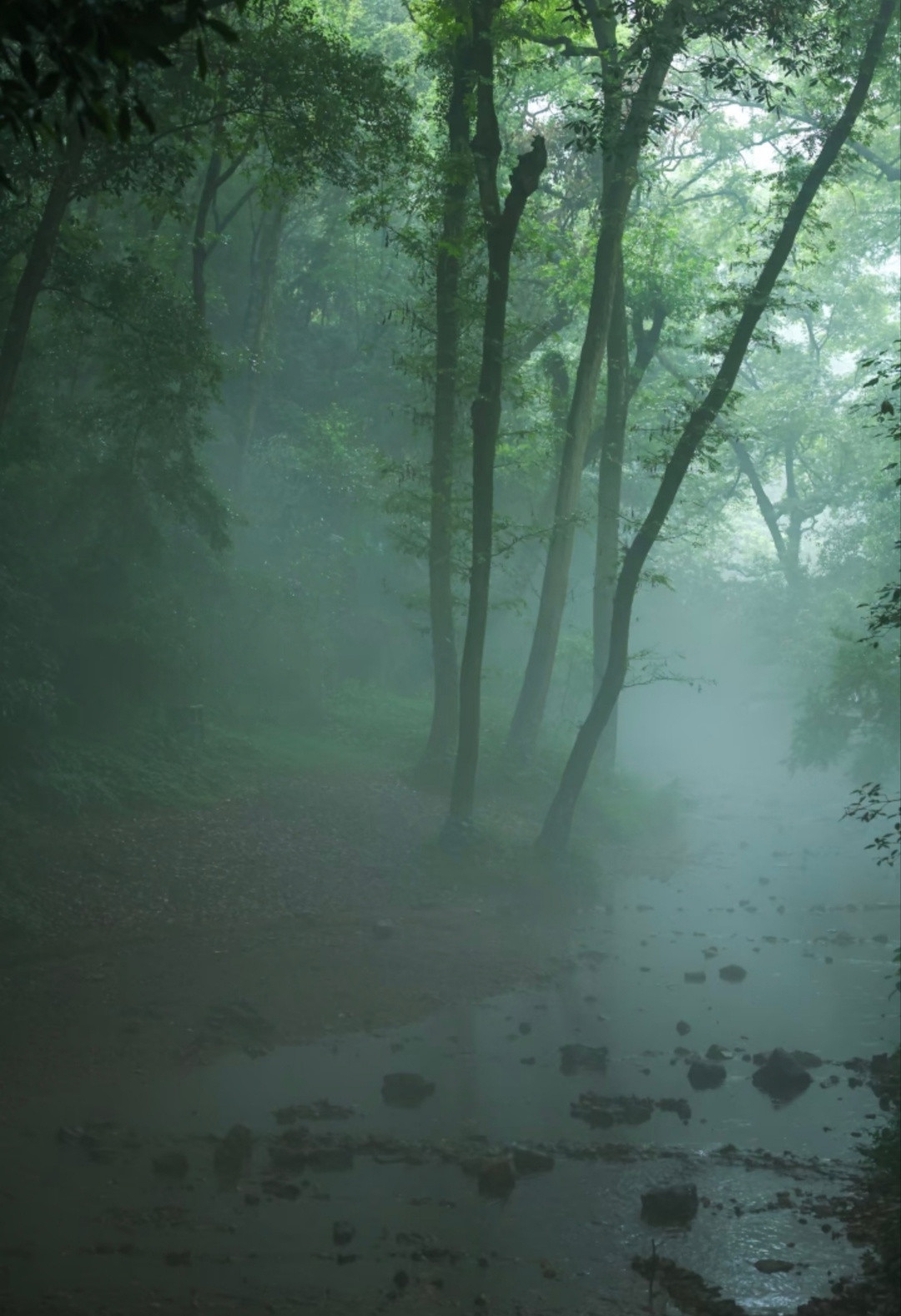 “一场秋雨一场寒…”​丨秋分​​​