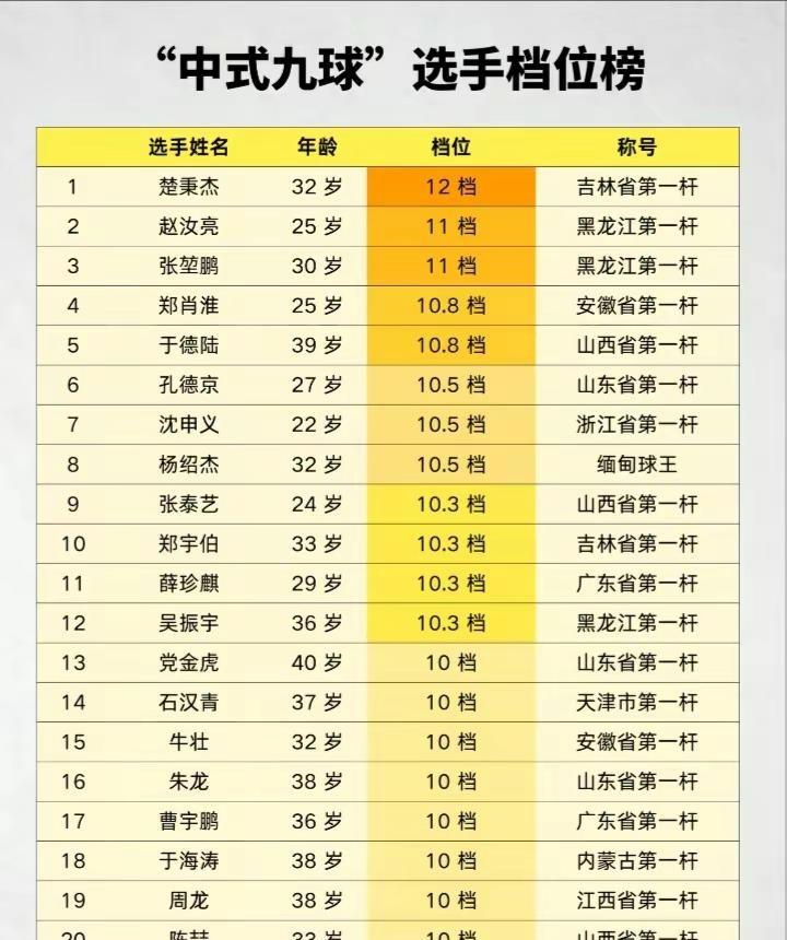 中式九球选手台球档位排行楚秉杰郑宇伯台球🎱台球是一种生活