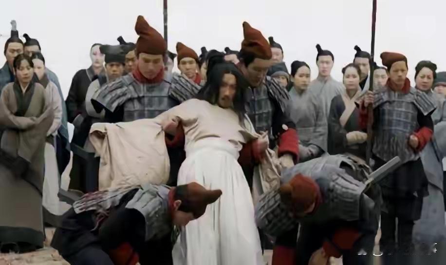 嬴政站着没躲。那一耳光火辣辣地打在脸上，他眉毛都没动一下。母亲赵姬的嘶吼还在大