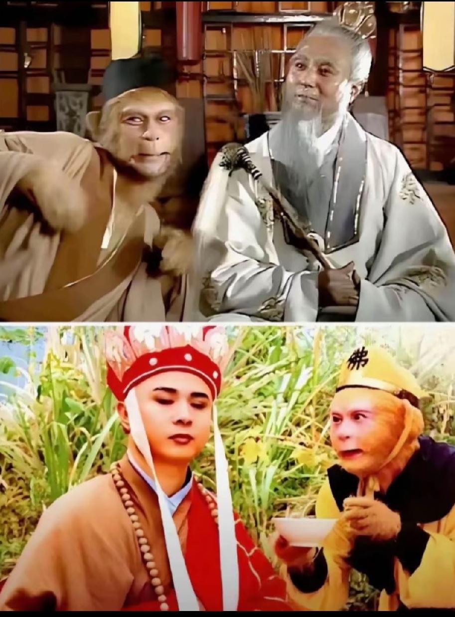 今天看到一句话，无端感到脊背发凉。那句话是以孙悟空的师傅菩提老祖口吻说的:我那乖
