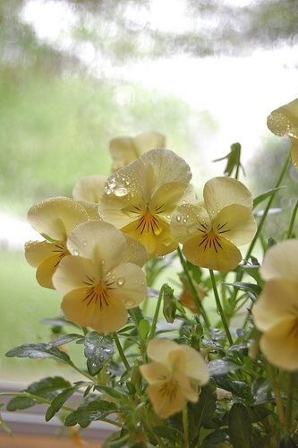 毁灭对应着创造，人类对很明显的毁灭与创造很敏感，却对慢性毁灭与慢性创造极不敏感。