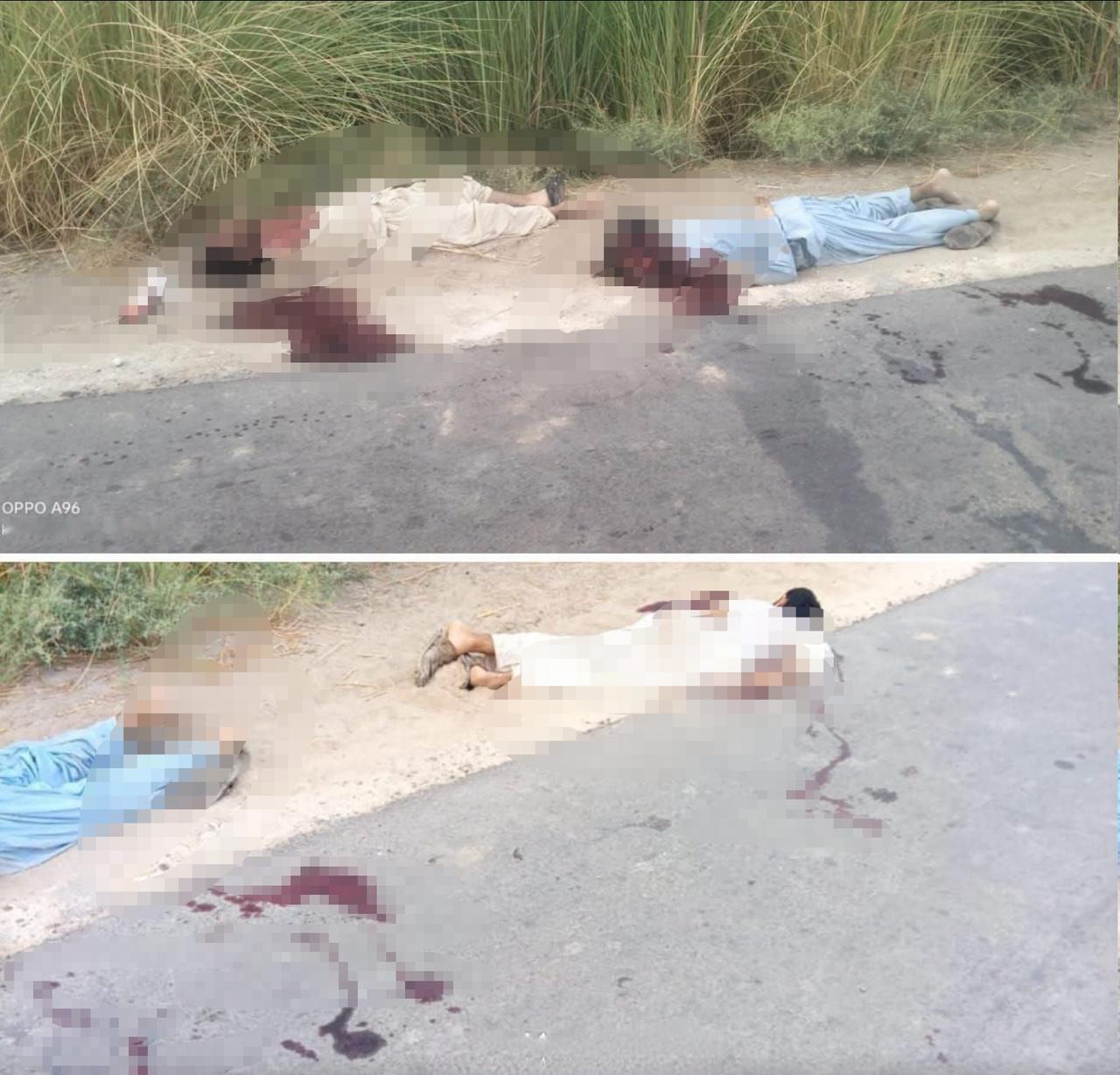 巴基斯坦俾路支省索巴普尔县，3名外地工人被武装分子绑架后枪杀；今天还有另外4名矿