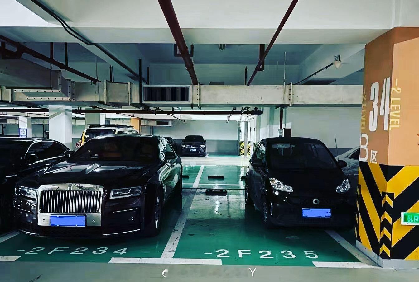 这车。。停出了猥琐的感觉