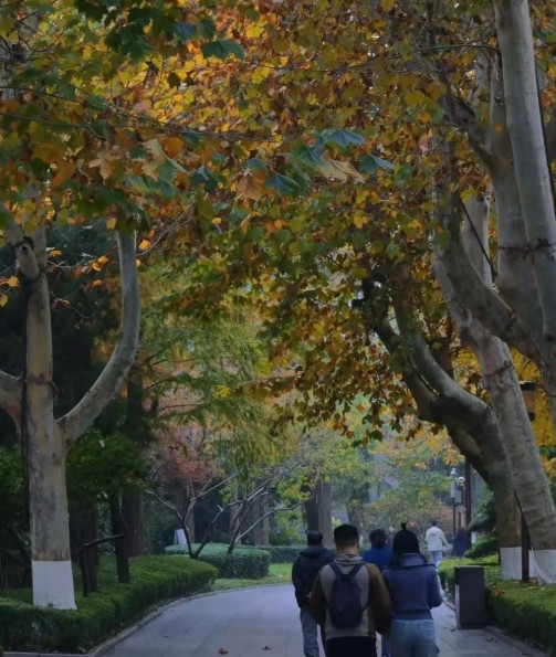 不管你信不信，只要一个男人和一个中年女人发生了说不清道不明的关系，这俩人成了所谓