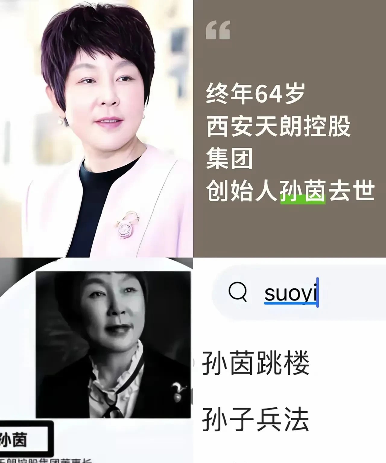 大学教授去清华被倒下的树木砸死，天朗集团创始人孙茵去世，她们中的