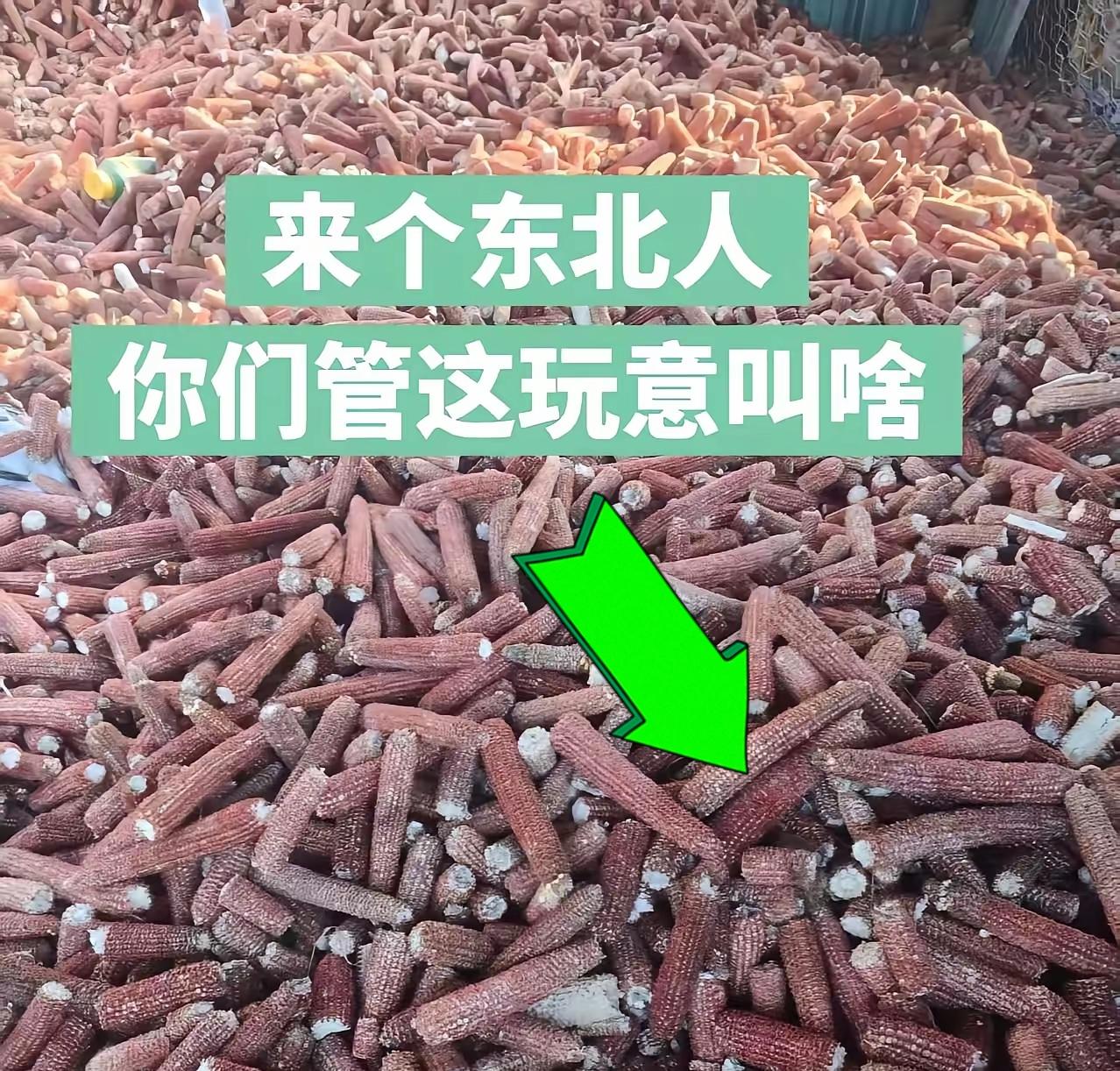 这玩意应该是东北70/80后农村孩子的噩梦！图片上的东西，学名“玉米芯”，东