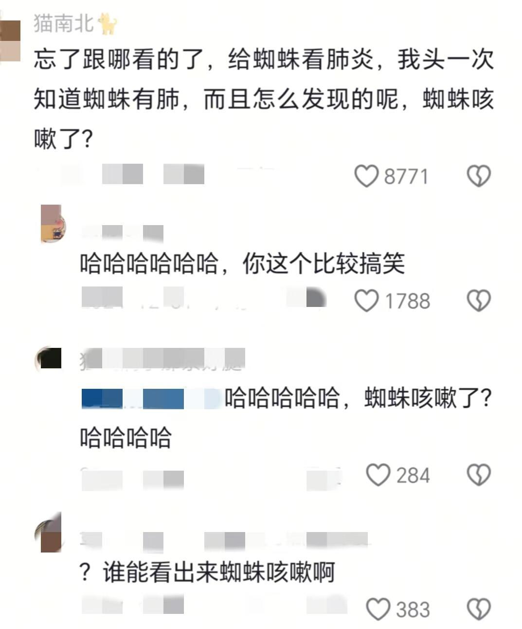 动物医院的八卦震惊又离谱