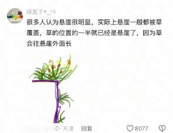 在冷知识这块中国网友真的没有对手​​​