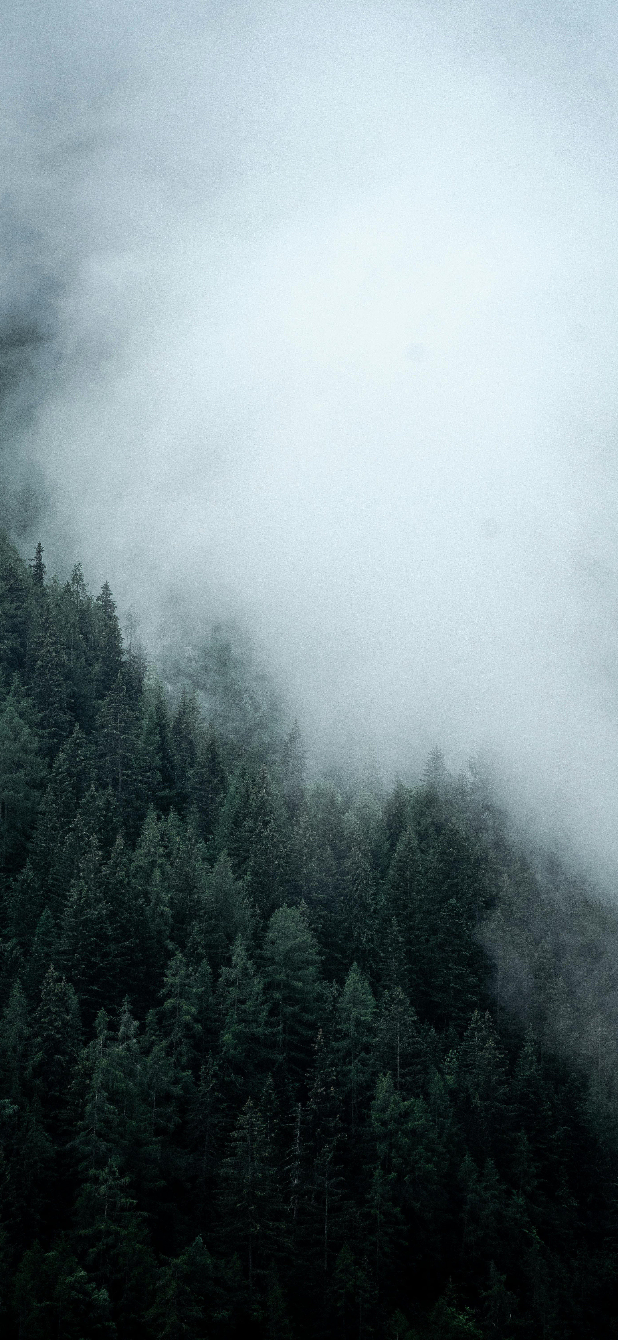 小伙伴们早啊～还有没起床的吗风景壁纸