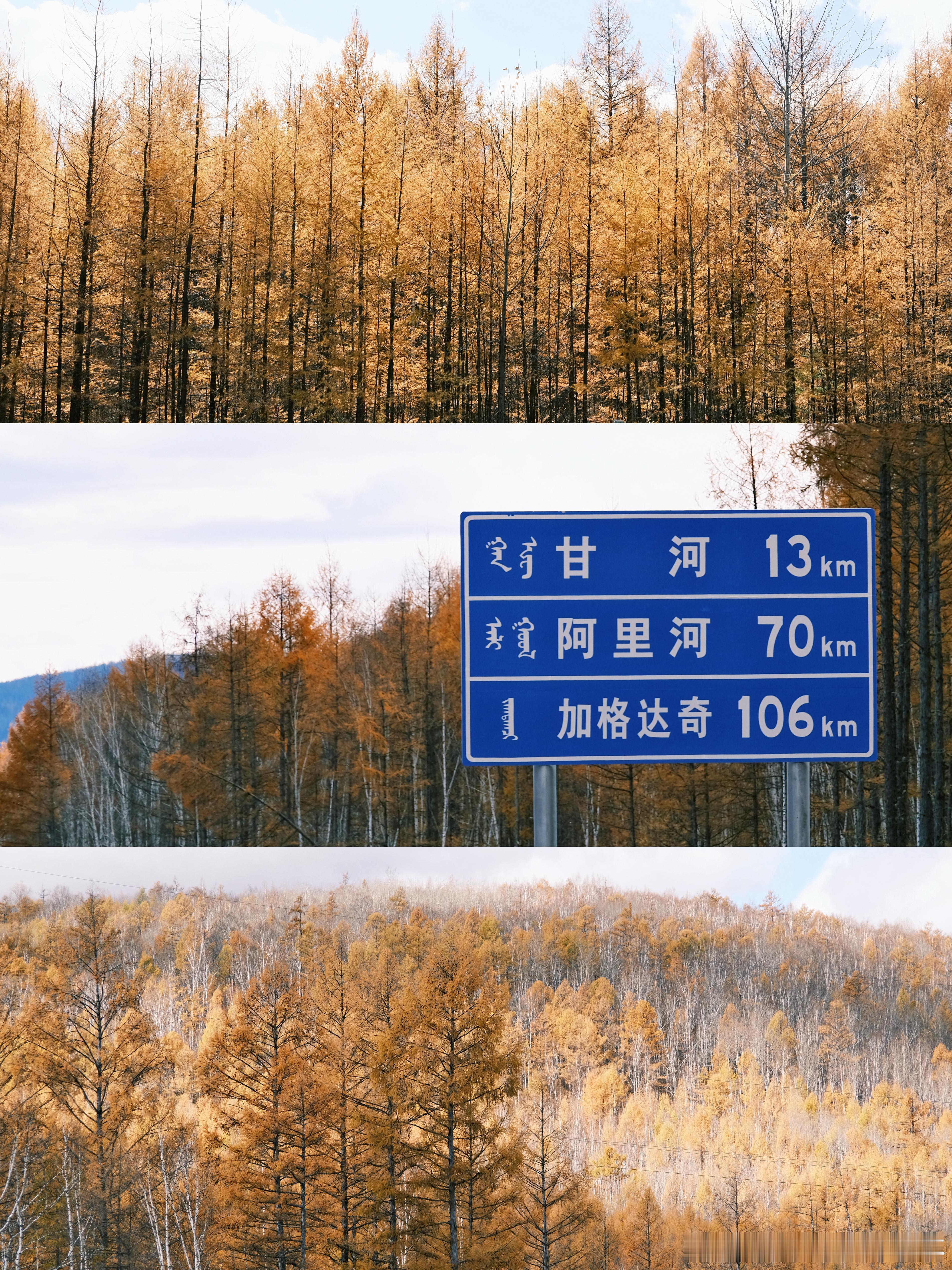 小韩的旅游日记28岁的第一站🚗🍂在大兴安岭感受北国最早的秋天时隔多年和爸爸妈妈的全家大旅行202