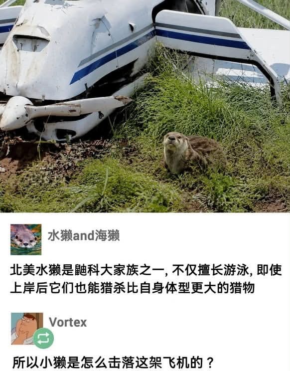 我想知道meme