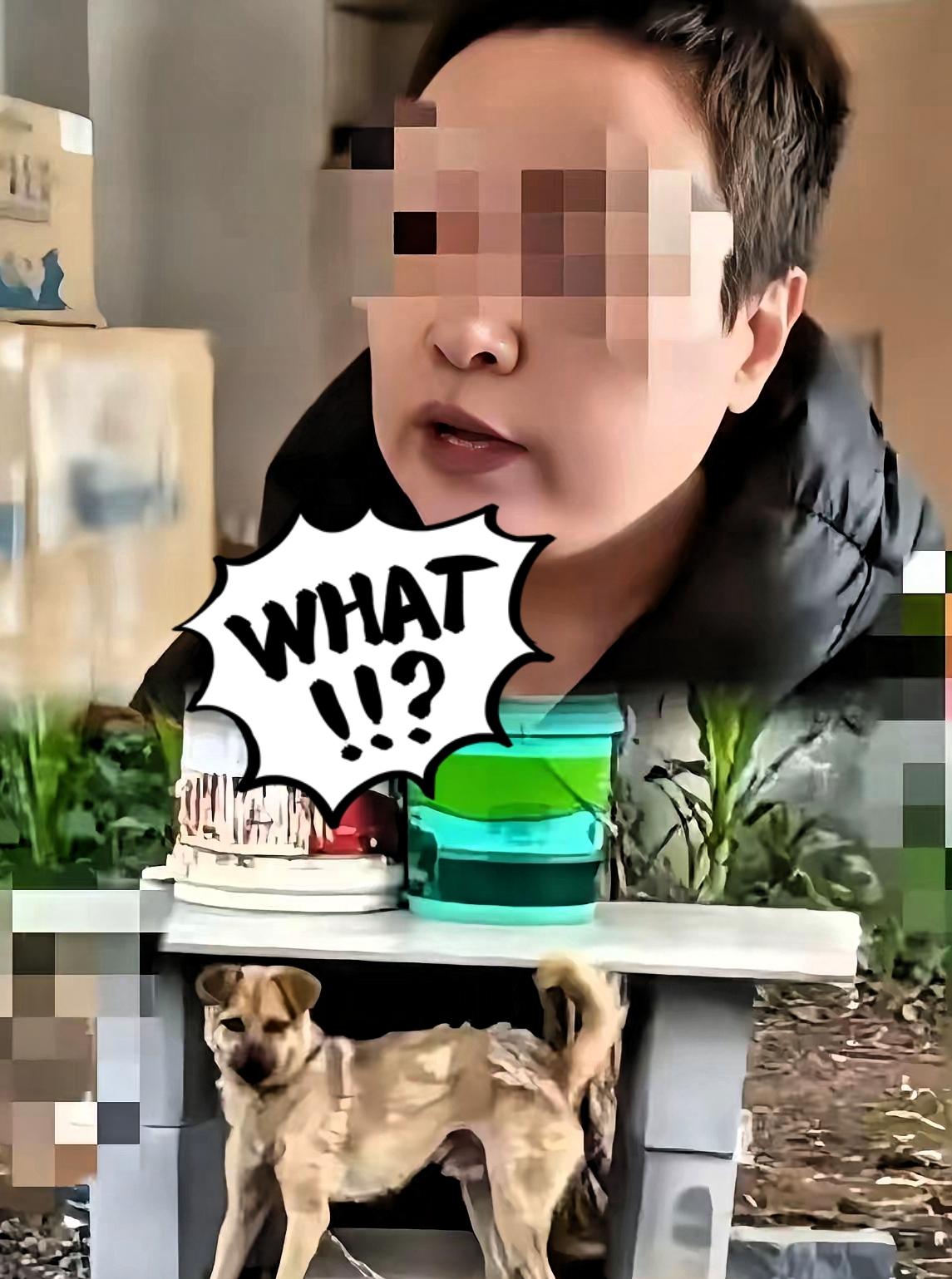 长治狗咬人案炸锅！自家人误杀亲哥？三大疑点直指真相被藏！长治狗咬人命案彻底